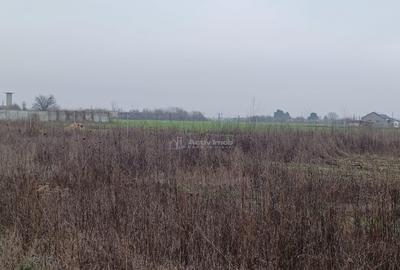 Teren Corbeanca- Strada Trei Lacuri - 3