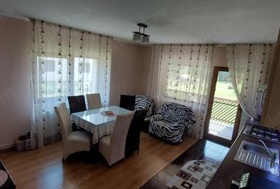 Casa de vanzare in Ampoi?a, com. Mete? - la 10 km de Alba Iulia - 4