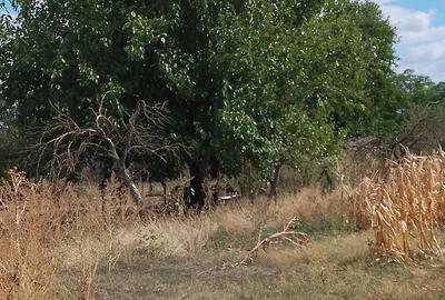 Casă cu 4 camere în Izvoru (Gogoșari) - 3