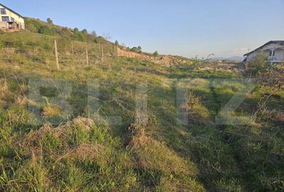 Teren 1150 mp, cu certificat de constructie, Salicea, centra - 6