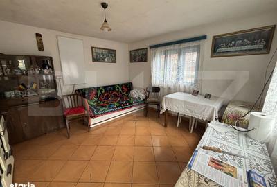 Casă cu 4 camere cu Teren 1439 Mp în Hereclean - 5