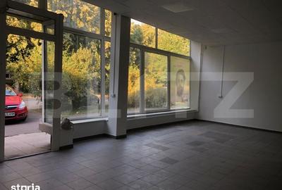 Spațiu comercial, de 265 mp, în Palas - 1