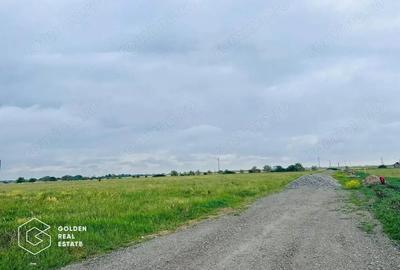 Terenuri cu utilitati, intrare Livada Terenuri cu utilitati, intrare Livada - 4