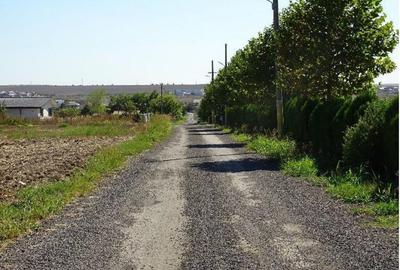 Teren intravilan Valu lui Traian, cota parte 3/48 ; ID: R... - 4