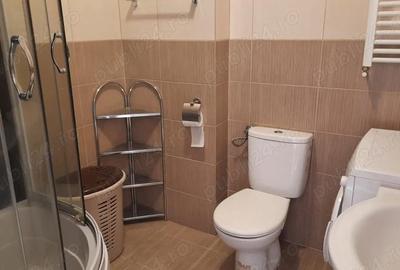 Apartament cu 2 camere decomandat în Turnișor - 7