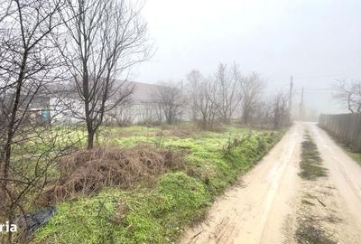 Spațiu comercial, în Malu Mare - 2