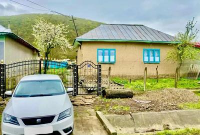 Vand Casa in Slava Rusa, 2000mp. - 1