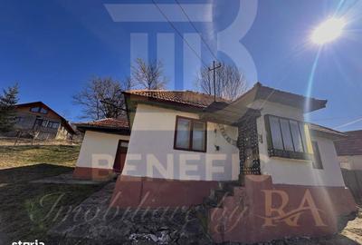 Casă cu 4 camere cu Teren 1615 Mp în Central - 9