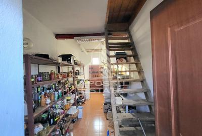 Casa individuala,independenta energetic, 5 camere,teren3783,Peciu Nou - 21