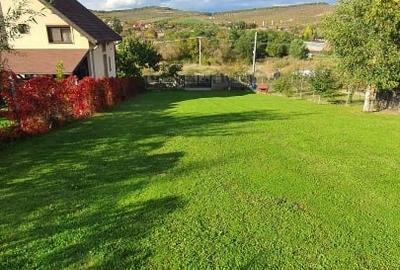 Teren cu AUTORIZATIE constructie casa plus CABANA LIVEZENI, 1824 MP - 4