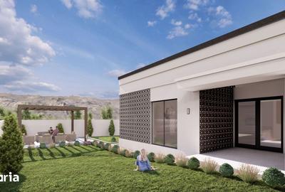 Casă cu 3 camere cu Teren 530 Mp în Paleu - 2