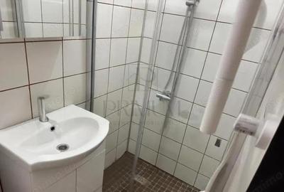 Garsoniera-Mobilata-Utilata-Buziasului - 2