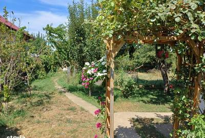 Casă cu 4 camere în Cornetu - 13