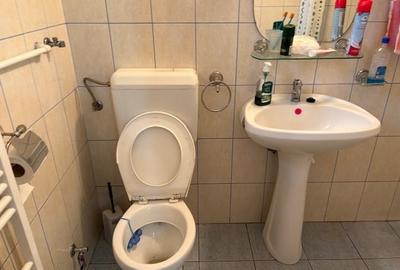 CASA S+P cu teren imprejmuit de 440 mp- singur in curte- zona Piata Armatei - 10
