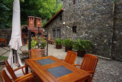 Casă cu 15 camere cu Canalizare în Plaiu Câmpinei - 9