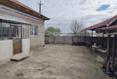 Casă cu 4 camere cu Teren 1450 Mp în Doba - 4