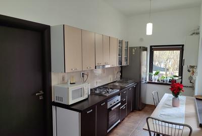 Apartament 2 camere, situat in vila, Grigorescu - 1