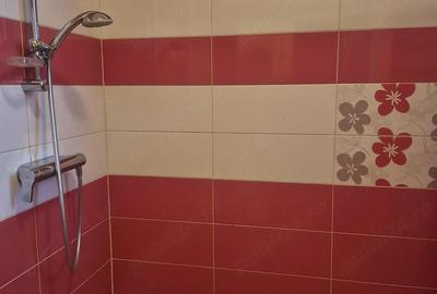 Garsonieră decomandată în Ciorogârla - 3