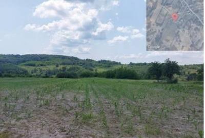 Teren de 6015 mp, în Bustuchin - 3
