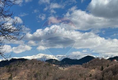 Teren agricol extravilan de 3915 mp, în Fundata - 2