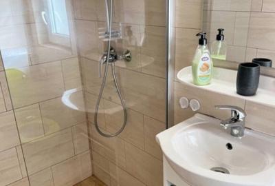 Cabana cu 4 dormitoare, foisor, ciubar, Statiunea Muntele Ba - 14