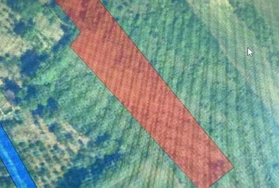 Teren Construcții extravilan de 4300 mp, în Căptălan - 1