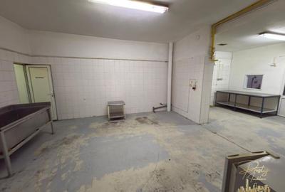 Spatiu Comercial Alimentar de inchiriat | str. Cuza Voda -Ultracentral - 5