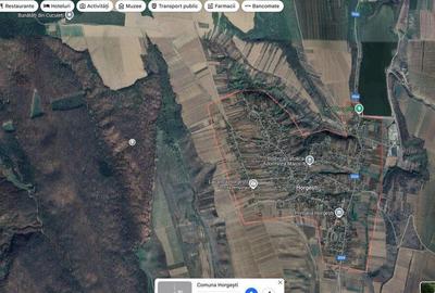 Teren extravilan padure, cota parte de 1/48 Horgesti, ID:... - 3