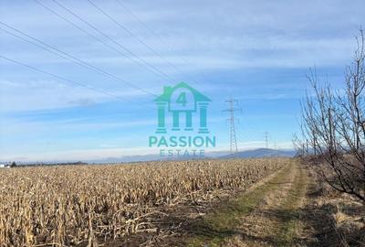 Teren de 22679 mp, în Hărman