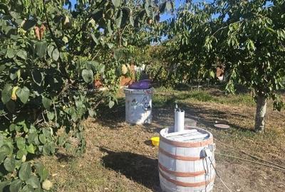 Proprietate imobiliara casa și teren în Criva de Sus - 4