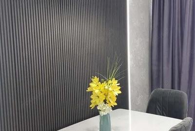 Inchiriere apartament 2 camere Dristor - 4