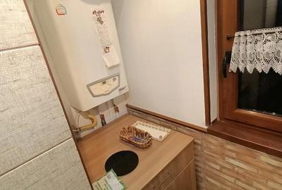 Apartament cu 2 camere semidecomandat în Șagului - 10