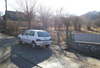 Teren de 12500 mp, în Câmpulung Muscel - 1