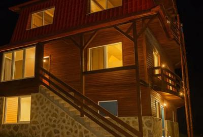 Casă cu 5 camere cu Teren 2000 Mp în Paltin - 15