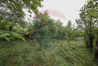 Casa spatioasa cu anexe si gradina in localitatea Ungra/Brasov - 11