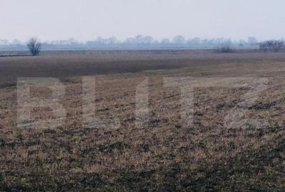 Teren extravilan de vanzare, 30.000 mp, cu potential de con - 5