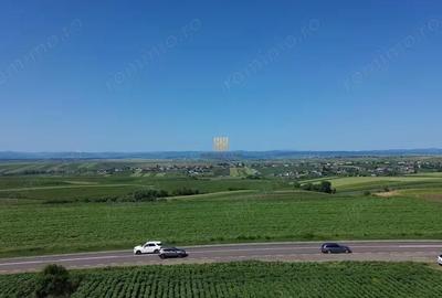 Teren de 36977 mp, în Central - 12