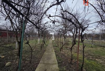 Casă individuală cu 8 camere cu Canalizare în Aradul Nou - 9