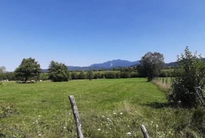 Teren de 9350 mp, în Bran - 6