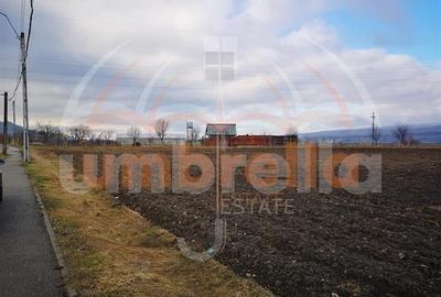 De vanzare in Gherla, Strada Hasdatii, 22.967mp - 4