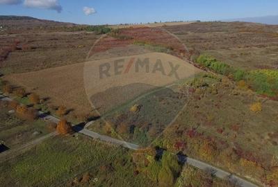 Teren agricol intravilan de 2556 mp, în Pădureni (Chinteni) - 6