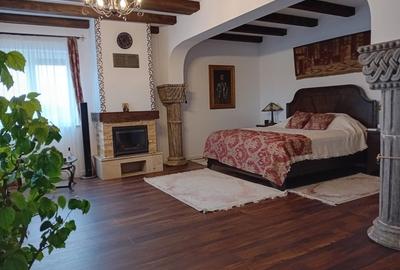 De vanzare vila exceptionala in stil Neo Romanesc cu vedere la lac si padure - 12