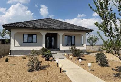 Casă cu 3 camere cu Teren 4200 Mp în Cărăndeni - 1