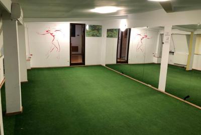 Fitness * Teatru * Dans * Balet * Recuperare  Calea Calarasi Spatiu Comercial Open 2x40mp. 130mp. - 4