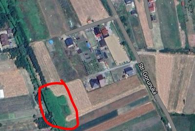 Spațiu comercial, în Crișeni - 2