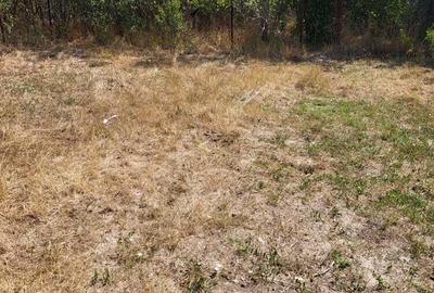 Casă cu 3 camere în Periș - 4