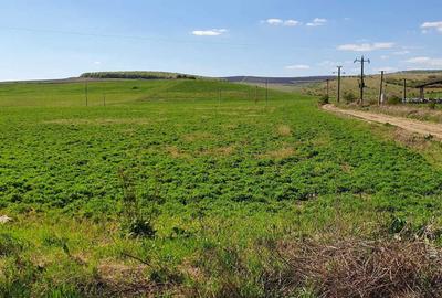 Teren de 10000 mp, în Iclod - 7