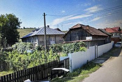 Casă cu Teren 3384 Mp în Bârsănești - 2