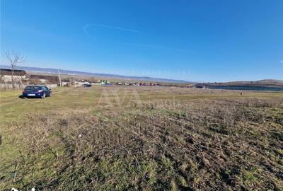 Teren de 1800 mp, în Sărata - 6