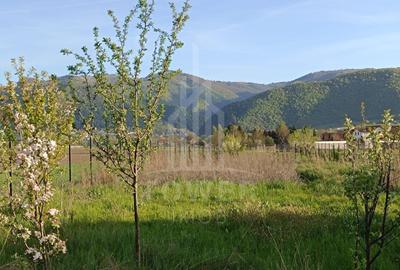 Teren Construcții intravilan de 1409 mp, în Orlat - 3
